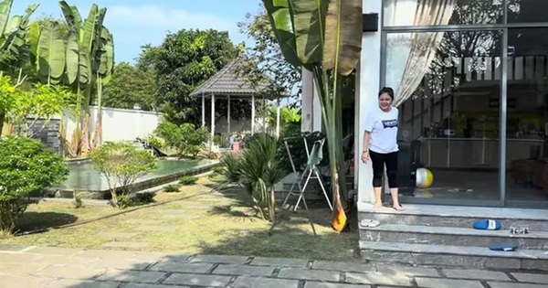 Nữ nghệ sĩ mua 3 miếng đất xây biệt thự tại Vũng Tàu: Cho mỗi con 1 căn nhà, dừng đóng phim để chữa bệnh avatar1769656963091 1769656963555824174635 25 0 371 660 crop 1769657004719627113078jpg