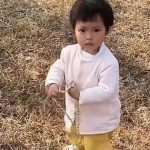 Đi chơi, bé gái nhặt được dây chuyền vàng trị giá 262 triệu đồng avatar1769679638759 1769679639180192811202jpg