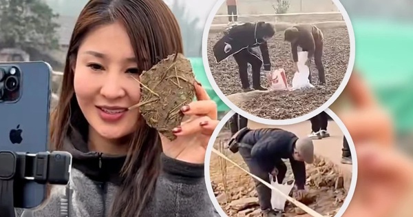 'Cơn cuồng hot girl mổ lợn Tết’ và biến tướng mua bán ‘đất may mắn’ ở Trung Quốc avatar1769742303257 1769742303584802907609jpeg