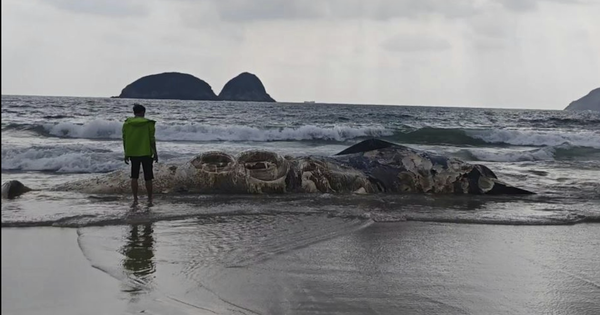 Vật thể lạ dài 11m dạt vào bãi biển nổi tiếng khiến nhiều người kinh hãi, cơ quan chức năng vào cuộc điều tra avatar1769743131730 17697431330211824444919png