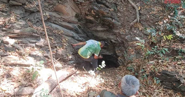 Gia súc liên tục mất tích, dân làng hoang mang kéo đi tìm con lươn 800 năm tuổi avatar1769757026557 17697570269091947109280png