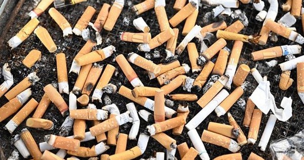 Phát minh của Trung Quốc làm rung chuyển ngành năng lượng: 'hồi sinh' tàn thuốc lá thành siêu tụ điện, sạc 10.000 lần vẫn giữ 95% hiệu suất avatar1769861447435 17698614477721379653024jpg