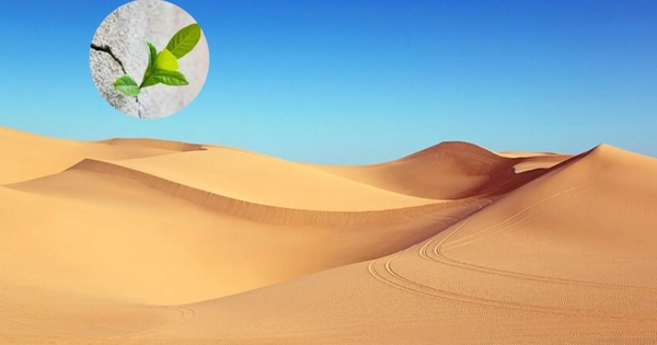 Phát minh làm rung chuyển ngành xây dựng: Tạo ra bê tông từ thứ tưởng không thể dùng, bước ngoặt cho vật liệu phổ biến thứ 2 thế giới avatar1769953823556 1769953825751374158416jpeg