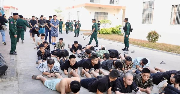 Campuchia triệt phá trung tâm lừa đảo lớn, bắt giữ hơn 2.000 người nước ngoài avatar1770001604645 17700016057871093955180jpg