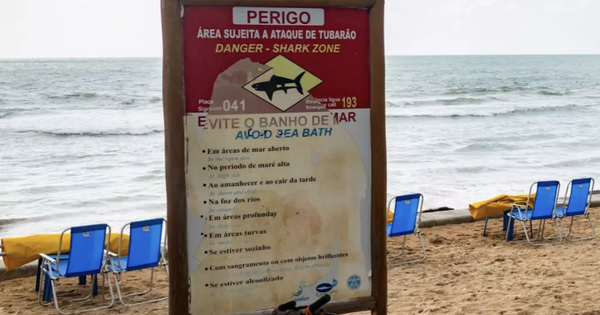 Cậu bé 13 tuổi bị cá mập tấn công tử vong tại một địa điểm du lịch nổi tiếng avatar1770019695231 17700196956351445054444png