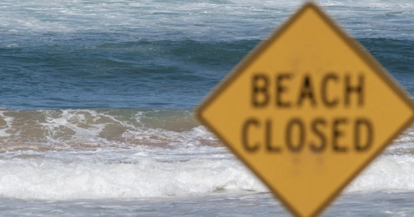 Kỳ tích: Cậu bé 13 tuổi bơi suốt 4 giờ giữa biển động để cứu gia đình bị cuốn ra xa bờ avatar1770096360012 1770096360290550030355png