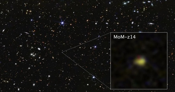 Vật thể kỳ lạ hiện hình sau 13,5 tỉ năm du hành thời gian avatar1770098883392 17700988858121346031309jpg 1