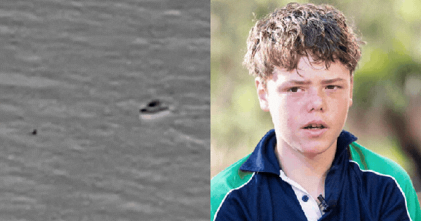 Cả thế giới sửng sốt trước câu chuyện cậu bé 13 tuổi bơi hơn 4km vượt dòng “nghẹt thở” để cứu sống cả gia đình avatar1770182650412 1770182651472390648030gifpng