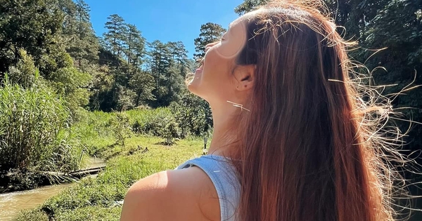 1 nàng hậu đưa con về Việt Nam sau khi ly hôn chồng Việt kiều avatar1770198461060 1770198463005165345989jpg