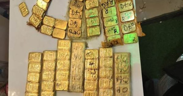 Đột kích hàng loạt kho hàng vận tải, tịch thu 29 kg vàng xếp đống trị giá 140 tỷ đồng và 8,7 tỷ tiền mặt có dấu hiệu lạ avatar1770202790152 1770202790844411523242png