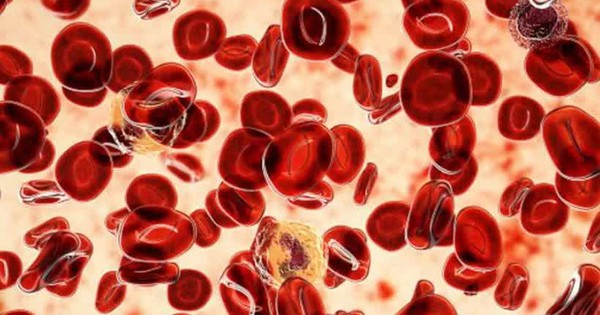 WHO: Có thể phòng ngừa 40% số ca ung thư trên toàn cầu avatar1770254292598 1770254292997580489902jpg