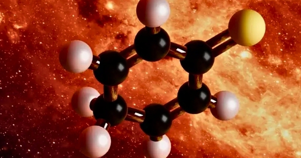 Sự xuất hiện gây sốc của "tiền thân sự sống" avatar1770261319295 17702613196781555265771jpg 1