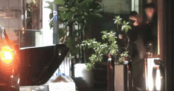 Một Anh Trai Chông Gai và Chị Đẹp đình đám đưa nhau về nhà riêng hẹn hò, showbiz có couple mới cực hot! avatar1770295737095 1770295740912863109179 0 0 195 372 crop 17702960451071841037553gifpng