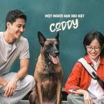 8 phim Việt giờ vàng rating cao nhất đầu 2026: Số 1 xứng đáng có 100 tập, Thanh Sơn mới là cú sốc avatar1770352047935 17703520496861009919279jpg