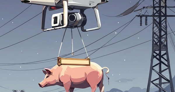 “Lợn bay” đâm vào đường điện cao thế, cả ngôi làng mất điện suốt 10 tiếng đồng hồ avatar1770488649202 17704886493961736348542 0 89 419 759 crop 17704886687831130549027jpg