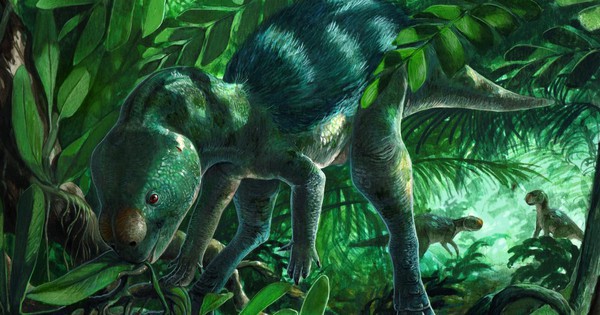 Lộ diện sinh vật lạ chứng minh khoa học "lạc đường" avatar1770528212196 17705282124431455985571jpg