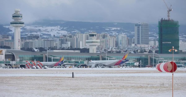 Tuyết rơi dày, 11.000 hành khách bị mắc kẹt trên đảo Jeju avatar1770685488908 17706854892431275621451jpg