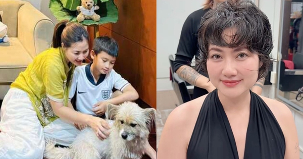 Sau 2 năm giải nghệ, "kiều nữ màn ảnh Việt" Ngọc Lan giờ ra sao? avatar1770884591934 17708845929091966595894 0 1 628 1200 crop 17708846444661778864793jpg