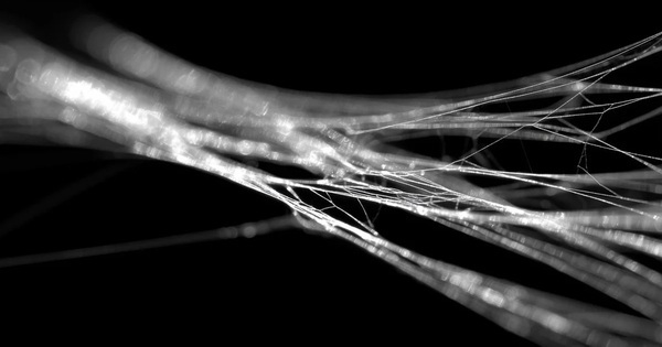 Vì sao tơ nhện chắc hơn thép? avatar1770959408539 17709594089421953023877jpg