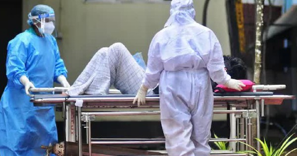 1 nữ y tá nhiễm virus Nipah được xác nhận qua đời avatar1770962826134 1770962826555611261041jpg