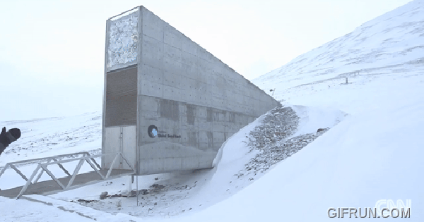 "Hầm tận thế" mở cửa: Việt Nam đã gửi gì? avatar1770973350226 1770973350544693153150gifpng