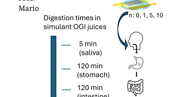 Thiết bị điện tử có thể... ăn được avatar1771078111242 17710781115161166216565jpeg