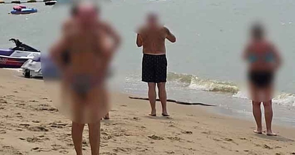 Thấy thứ "đáng sợ" trồi lên từ biển, du khách hoảng sợ bỏ chạy avatar1771129122237 17711291225891977686181jpg