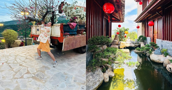 Nam nghệ sĩ đón Tết ở cơ ngơi 10.000 m2, đẹp như khu nghỉ dưỡng, hoa phủ kín nhà avatar1771258664038 1771258665011128505984 183 0 874 1319 crop 1771258696081819390492jpg