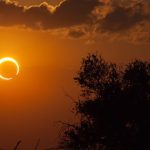 Thế giới đón “nhật thực Nam Cực” ngay mùng 1 Tết Bính Ngọ avatar1771293129210 17712931296471349827807jpg