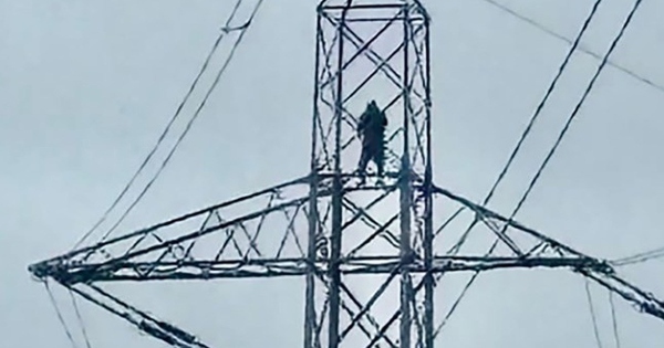 Người đàn ông thất tình trèo lên cột điện khiến 20.000 hộ dân gánh hậu quả avatar1771308272586 1771308272912249740122jpg