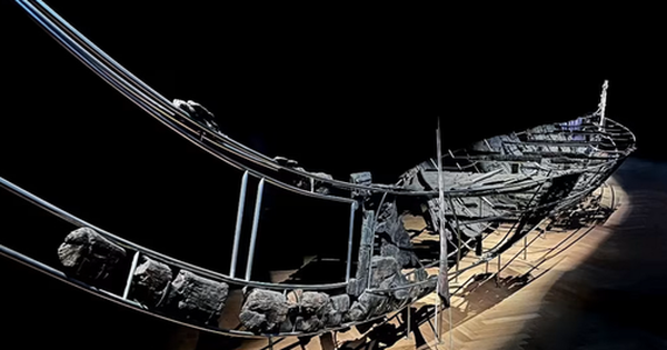 Giải mã từ "giáo sĩ phơi khô" đến đạo quân yểu mệnh của Napoleon avatar1771575434993 1771575435629829635415 0 75 315 579 crop 17715754458081037974065png