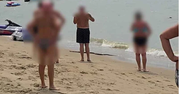 Sinh vật dài ngoằng bất ngờ trồi lên giữa bãi tắm đông nghịt, cơ quan chức năng nói: "Đây là việc hiếm" avatar1771576370610 17715763716342019264623png