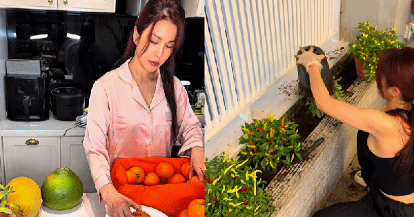 Diệp Lâm Anh gây bão với loạt clip nữ công gia chánh, phản hồi thẳng thắn khi netizen réo tên Vũ Thúy Quỳnh avatar1771585719618 1771585773088793340065png