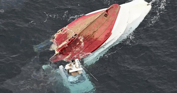 Tàu hàng và tàu cá va chạm tại Nhật Bản khiến 2 người thiệt mạng avatar1771635013618 17716350138381432242774jpg