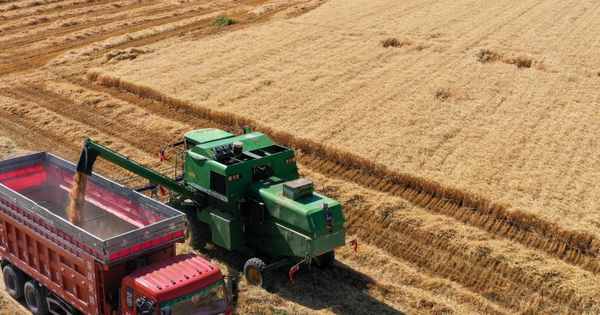 "Mỏ vàng" giữa lòng sa mạc: Quốc gia cạnh Việt Nam biến "biển tử thần" thành kho báu cho hơn 1,4 tỷ người avatar1771689681818 17716896824281076943152jpeg