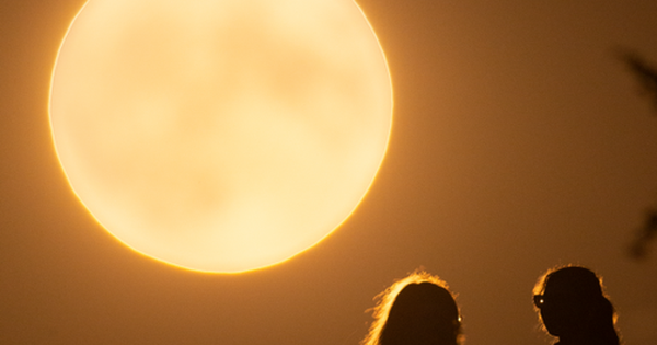 Ba siêu trăng chưa lộ mặt năm Bính Ngọ avatar1771731396413 17717313982851265367504 0 0 315 504 crop 17717314068881790792226png