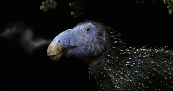 Bí ẩn bộ giáp gai rỗng của loài khủng long 125 triệu năm tuổi làm giới cổ sinh vật học hoàn toàn bối rối avatar1771749470268 17717494705661821696183 283 0 1006 1156 crop 17717494808541232646703jpg