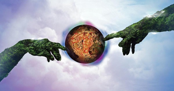 Đừng vội tin vào mắt mình, hàng ngàn loài động vật đang đội lốt nhau để che giấu thân phận thật sự avatar1771828998464 17718289987121137039852jpg