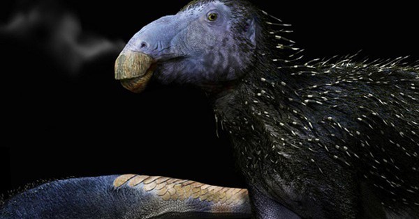 Trung Quốc phát hiện “rồng gai” chưa từng thấy trên thế giới avatar1771902755091 17719027553081135787767jpg