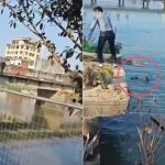 Cãi vã, bố ném con nhỏ xuống sông, mẹ nhảy xuống cứu avatar1771904632877 17719046332811260446236jpg