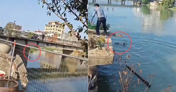 Cãi vã, bố ném con nhỏ xuống sông, mẹ nhảy xuống cứu avatar1771904632877 17719046332811260446236jpg