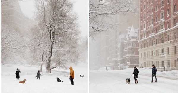 Phía sau khung cảnh New York trắng xóa như cổ tích những ngày này avatar1771943622809 17719436233001562666920png