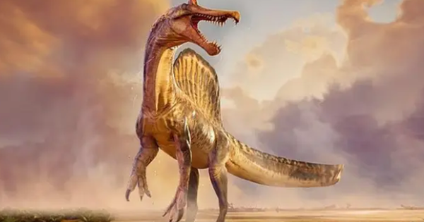 Phát hiện chấn động: Rồng thực sự tồn tại? avatar1772002807495 1772002807976658196903png