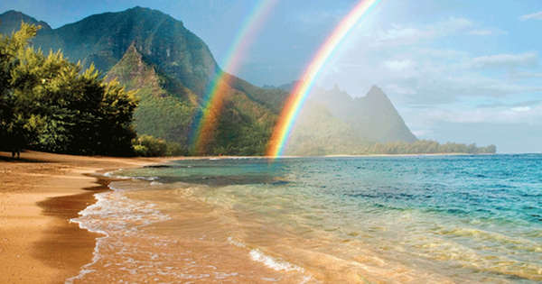 Chuyện gì đang xảy ra ở Hawaii? avatar1772003275884 1772003276174461955860 0 44 315 548 crop 1772003296187184398550png