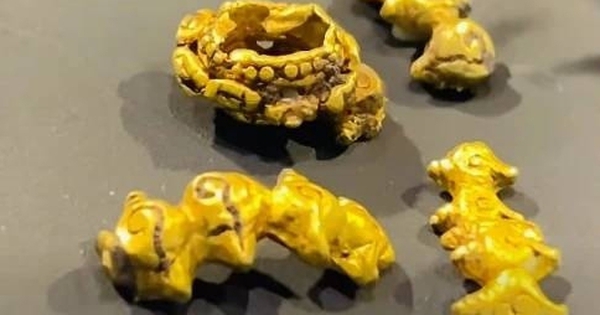 Nhặt được vàng khi đi đánh cá, ngư dân mang đi kiểm tra thì sốc nặng avatar1772161903352 1772161903895229996873jpeg