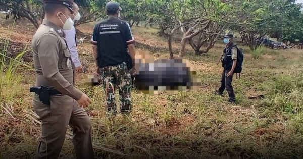 Ghé vườn nhãn, người phụ nữ sững sờ thấy sinh vật khổng lồ nằm bất động, hiện trường lập tức bị phong tỏa avatar1772181195299 17721811957411279056571png