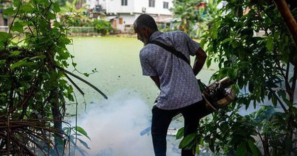 Loài động vật nguy hiểm nhất thế giới giết chết hơn 1.000.000 người mỗi năm: Không phải con vật bạn đang nghĩ avatar1772201019160 17722010196982141374735 0 68 315 572 crop 1772201035526939535881jpg