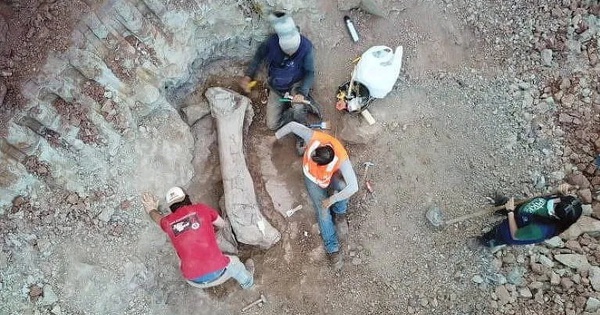 Quái vật dài 20 m "trỗi dậy" giữa công trình đường sắt avatar1772437247854 17724372487091089582484jpg