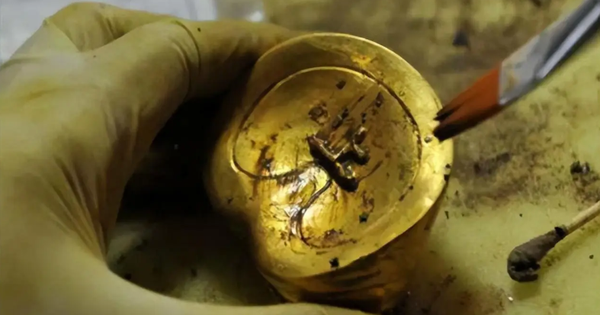 Đào sâu 0,8m, đội công nhân phát hiện hơn 5 kg vàng: Công trường xây dựng lập tức bị phong tỏa avatar1772464181475 1772464182224882224585png