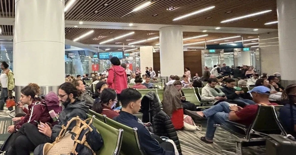 Giới siêu giàu tranh nhau thuê máy bay, chi hơn 9 tỷ đồng mỗi chuyến để rời Trung Đông avatar1772513720046 1772513721168800658643 0 454 966 2000 crop 17725137393632067721653png